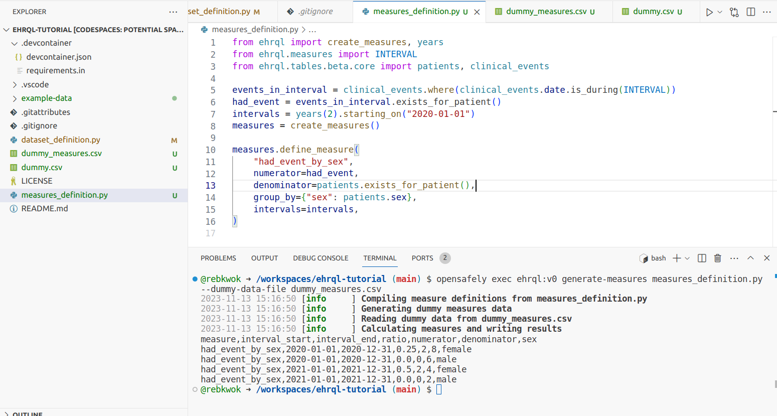 A screenshot of VS Code, showing the terminal after the opensafely exec command was run